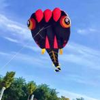 Mega Grote Parafoil Kikkervis Vlieger 4,2 meter bij 10 meter, Ophalen of Verzenden, Nieuw, Eenlijns, Vlieger