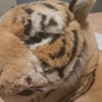 Handgemaakte pluche tijger, Ophalen