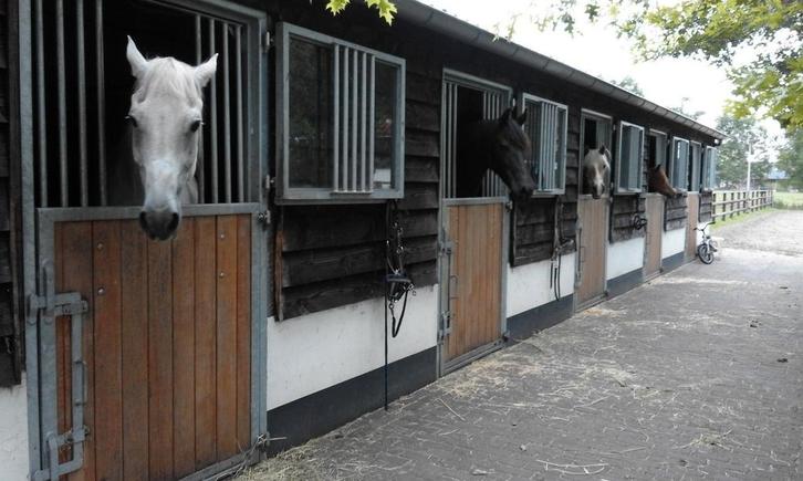 Kleine pensiostal heeft plek vrij, Dieren en Toebehoren, Stalling en Weidegang