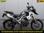 Triumph TIGER 1200 RALLY PRO (bj 2023), Bedrijf, Toermotor, 1200 cc