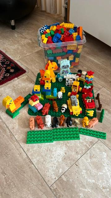 Duplo met veel dieren en bouwstenen beschikbaar voor biedingen