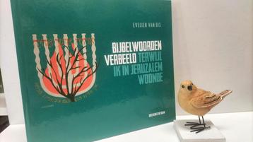 Dis, Evelien van;  Bijbelwoorden verbeeld terwijl ik in Jeru beschikbaar voor biedingen
