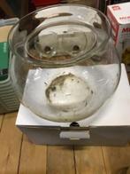 Grote viskom, Ophalen of Verzenden, Zo goed als nieuw, Leeg aquarium