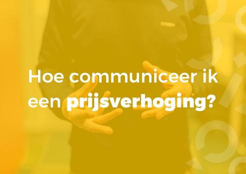 Jolanda Breda, Hobby en Vrije tijd, Modelauto's | 1:43, Zo goed als nieuw, Auto, Ophalen of Verzenden