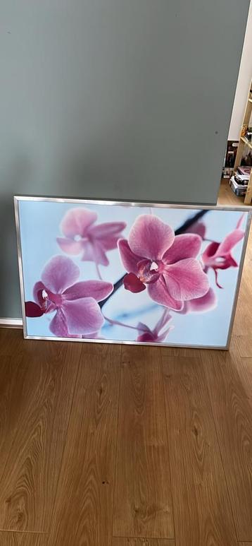 Mooi Ikea schilderij van Orchideeën beschikbaar voor biedingen