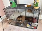 Hamsterkooi met allerlei accessoires, Dieren en Toebehoren, Muis, Hok, 75 tot 110 cm, Ophalen