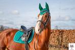 Naar wens gemaakte oornetjes, Dieren en Toebehoren, Ophalen, Dressuur, Lietjesmarket, Nieuw