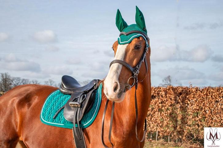 Naar wens gemaakte oornetjes, Dieren en Toebehoren, Paarden en Pony's | Overige Paardenspullen, Nieuw, Dressuur, Ophalen
