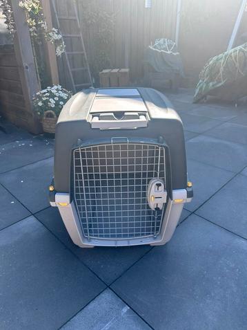 Honden bench  beschikbaar voor biedingen