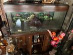 Aquarium met kast, Dieren en Toebehoren, Ophalen, Gebruikt, Leeg aquarium