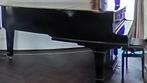 Vleugel, Muziek en Instrumenten, Piano's, Ophalen, Zwart, Vleugel, Hoogglans