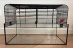 Hamsterkooi voor kleine hamster, Dieren en Toebehoren, Knaagdieren en Konijnen | Hokken en Kooien, Minder dan 60 cm, Kooi, Gebruikt