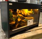 Betonplex terrarium met 3D achterwand, Ophalen, Nieuw, Terrarium of Paludarium