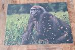 Gorilla - WNF - Wereld Natuur Fonds, Verzenden, 1960 tot 1980, Ongelopen, Vogel
