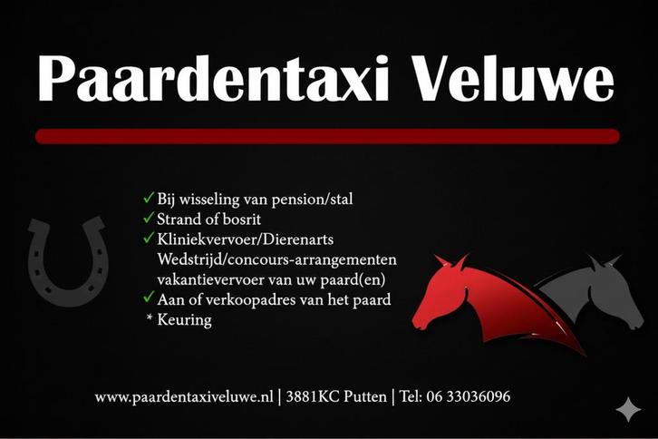 Paardentaxi Veluwe vervoer door heel Nederland 🇳🇱, Diensten en Vakmensen, Koeriers, Chauffeurs en Taxi's, Taxivervoer