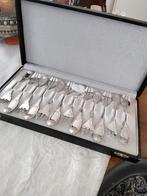 Uniek zilveren set., Ophalen of Verzenden, Zilver