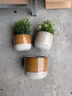 Wand bloempotten - set van 3, Ophalen, Rond, Aardewerk, Minder dan 40 cm