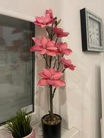 Nep Roze Magnolia Plant in Pot, Ophalen of Verzenden, Zo goed als nieuw, Minder dan 25 cm, Minder dan 100 cm