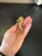 Zeepaard kastknopje, Huis en Inrichting, Ophalen of Verzenden, Zo goed als nieuw, Minder dan 25 cm, Minder dan 50 cm