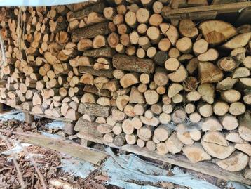 haardhout beschikbaar voor biedingen