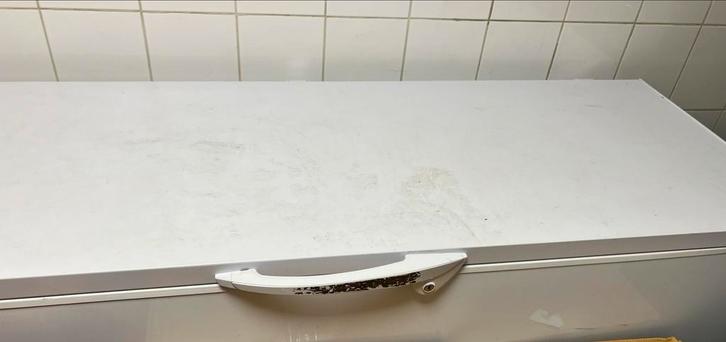 GGM Gastro Vrieskist - Gebruikt 534L, Witgoed en Apparatuur, Vriezers en Diepvrieskisten, Gebruikt, Vrijstaand, Vrieskist, 85 tot 120 cm