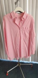 Heel mooie nieuwe blouse maat 44, Ophalen of Verzenden, Nieuw, Maat 42/44 (L), Roze