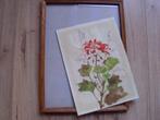 Aquarel bloemen, Antiek en Kunst, Ophalen of Verzenden
