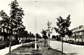 Ooltgensplaat, Esdoornstraat - volk - ongelopen beschikbaar voor biedingen