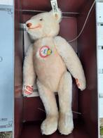 Steiff Dicky 1930 Replica Beer - Weiss 33, Ophalen of Verzenden, Zo goed als nieuw, Stoffen beer, Steiff