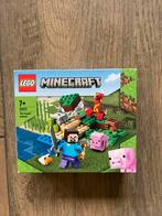 Lego Minecraft nr. 21177, Kinderen en Baby's, Speelgoed | Duplo en Lego, Ophalen of Verzenden, Zo goed als nieuw