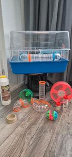 Mooie hamsterkooi met spulletjes, Kooi, Gebruikt, Minder dan 75 cm, Hamster