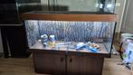 Prachtige juwel rio 240 aquarium 120 cm, Ophalen, Gebruikt, Leeg aquarium