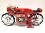 Protar 1:9 Derbi 125 cc. Angel Niéto., Hobby en Vrije tijd, Modelbouw | Auto's en Voertuigen, Overige merken, Overige typen, Ophalen of Verzenden