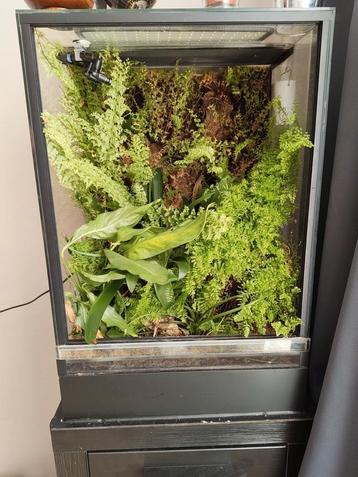 Terrarium/paludarium beschikbaar voor biedingen