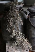 Toef asparagus bruin Toef asparagus bruin, Huis en Inrichting, Www.jufbrocante.nl, Www.jufbrocante.nl, Nieuw, Ophalen of Verzenden