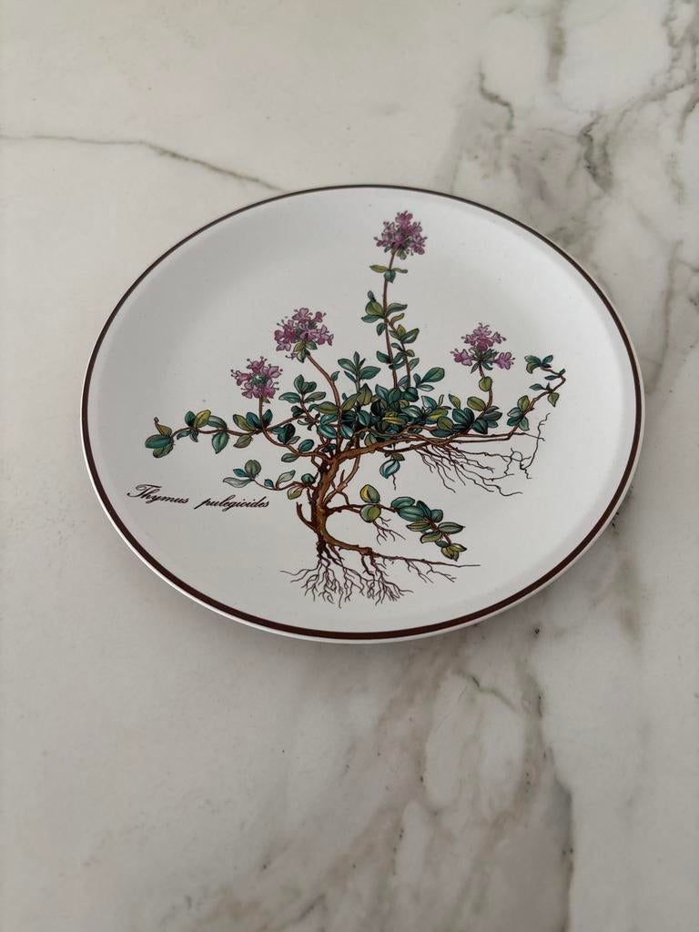 Twee Villeroy & Boch Botanica borden - Thyme, Ophalen of Verzenden