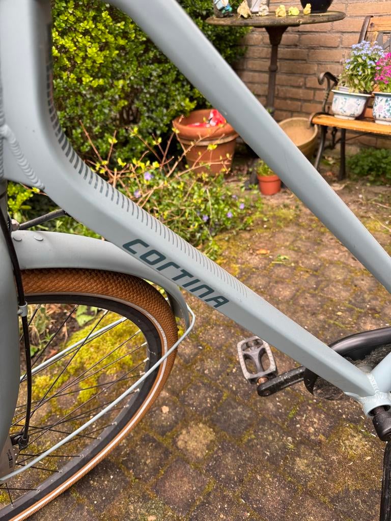 Cortina Foss Damesfiets - Framemaat 54, Versnellingen, Ophalen, Overige merken, 53 tot 56 cm