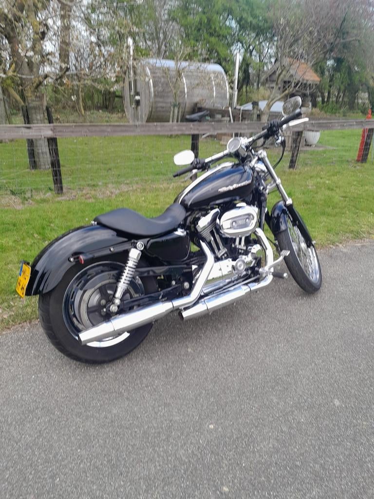 Harley-Davidson XL 1200 Sportster Custom 2004, Motoren, Motoren | Harley-Davidson, 2 cilinders, Occasion, Chopper, Particulier