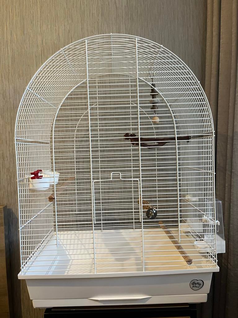 Vogelkooi merk Duvo., Ophalen, Zo goed als nieuw, Metaal, Vogelkooi