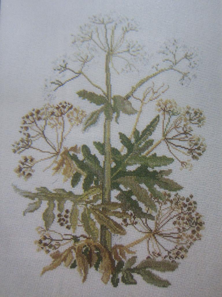borduur en patroon fluitenkruid GROOT Wilde weide bloemen, Hobby en Vrije tijd, Borduren en Borduurmachines, Ophalen of Verzenden