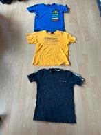 Set van 3 T-shirts: Champion, My Brand en blauw T-shirt, Ophalen, Gebruikt, Jongen