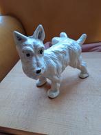 Schotse terrier gietijzeren hond beeld brocante curiosa, Ophalen of Verzenden