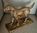 Zwaar Bronzen beeld van hond  36 x 24x 12 cm, Ophalen of Verzenden, Brons