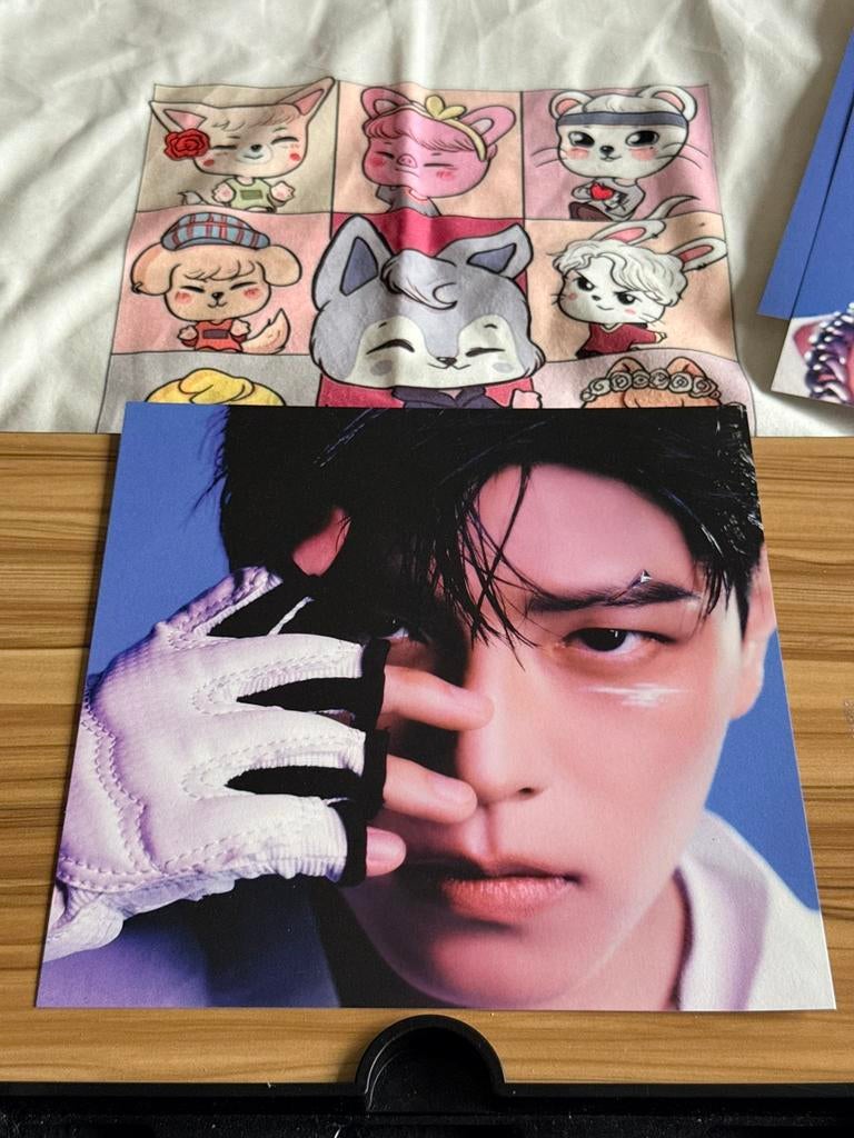 Stray Kids Seungmin poster karma, Ophalen of Verzenden, Zo goed als nieuw, Foto of Kaart