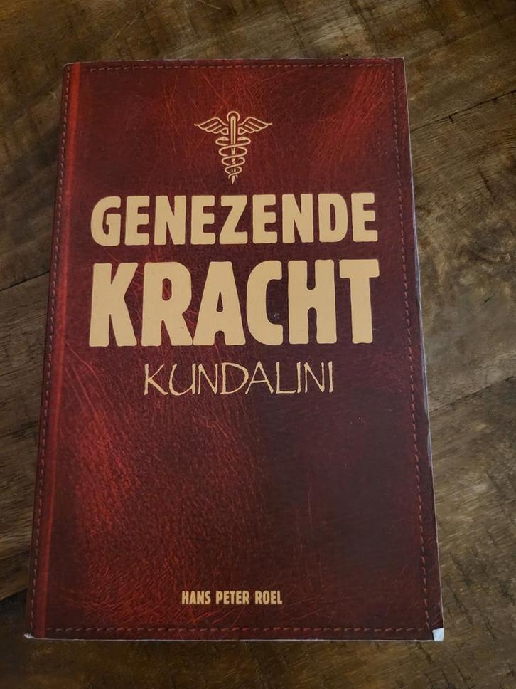Hans Peter Roel - Genezende Kracht, Boeken, Romans, Zo goed als nieuw, Ophalen of Verzenden