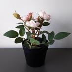 IKEA FEJKA kunstplant roos in zwarte pot, Ophalen of Verzenden, Gebruikt, Binnen