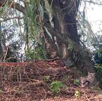 Ik zoek een klein appartement in Emmen., Huizen en Kamers