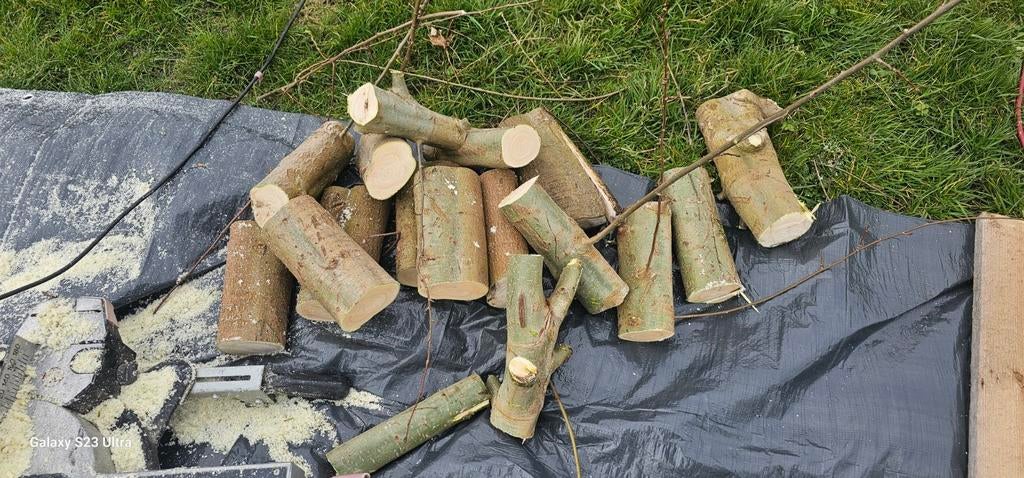 brandhout 2.50mt³, Tuin en Terras, Haardhout, Minder dan 3 m³, Ophalen