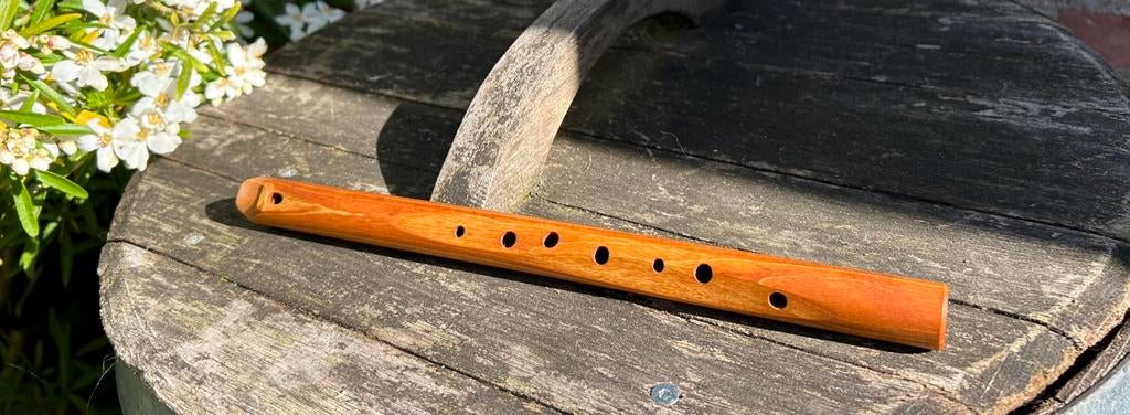 Antroposofische sopraanblokfluit, Ophalen of Verzenden, Gebruikt, Sopraan of Sopranino