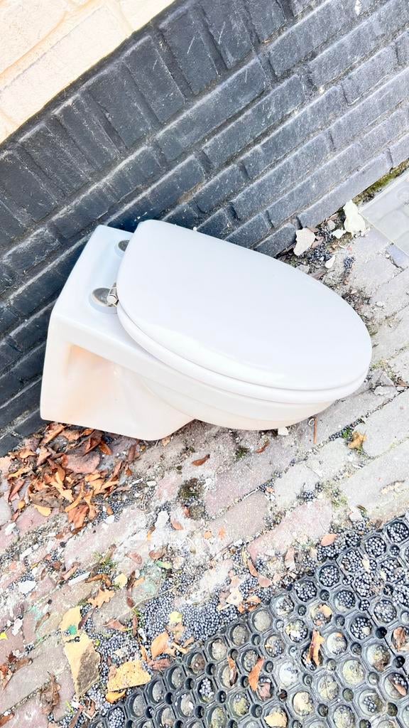 Villeroy & Boch wc pot + deksel, Ophalen